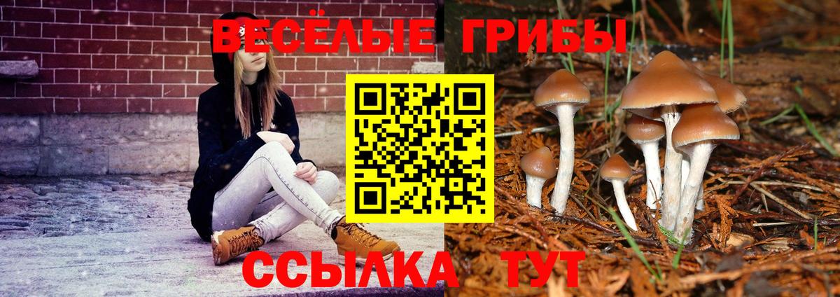 Галлюциногенные грибы GOLDEN TEACHER Брянск