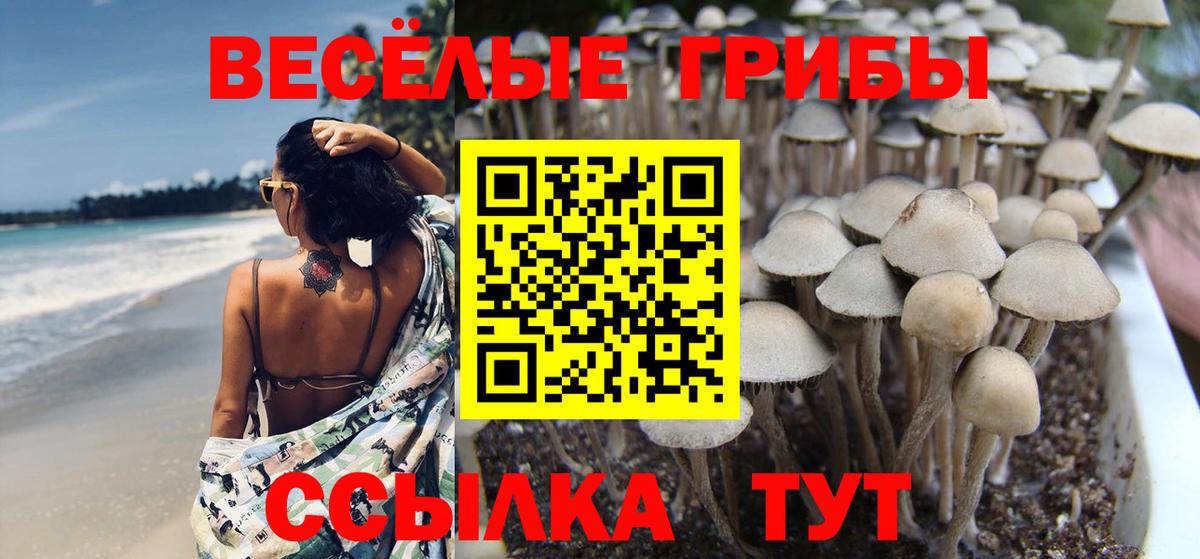 Брянск  Галлюциногенные грибы мицелий  Вход с VPN 